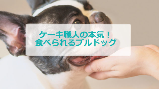 夏休みの自由研究にピッタリ ロックキャンディ アイシングクッキー ロイヤルアイシング 紅茶